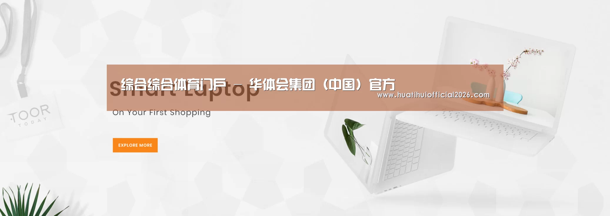 某某网络科技有限公司