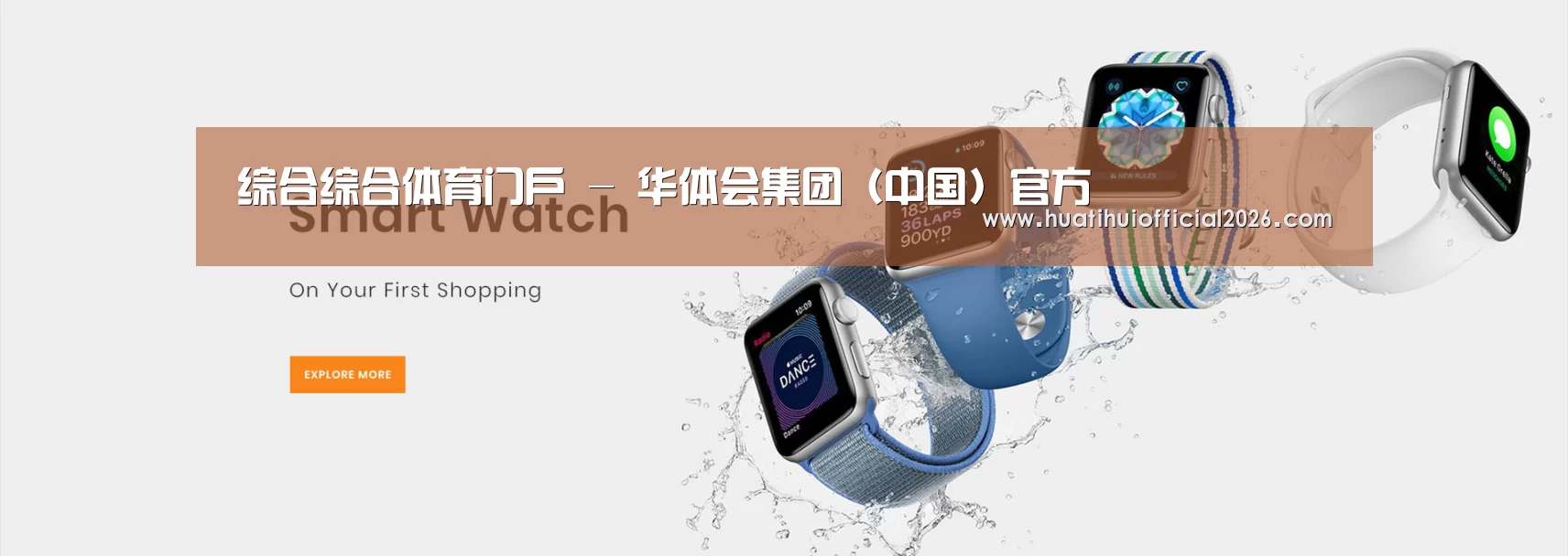 某某网络科技有限公司