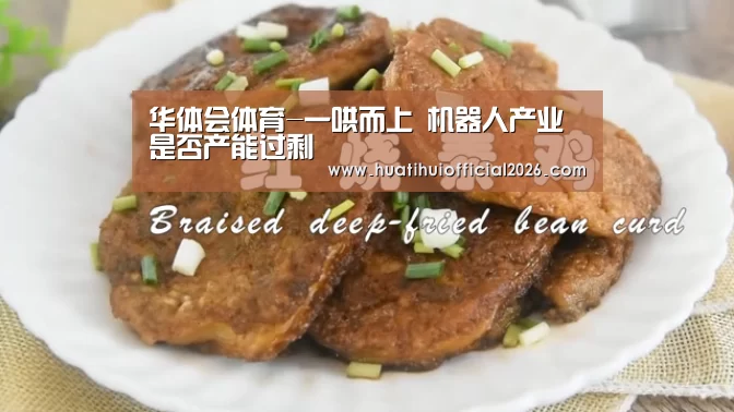 华体会体育-一哄而上 机器人产业是否产能过剩(图3) 华体会官网
